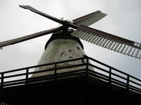 DK Windmill